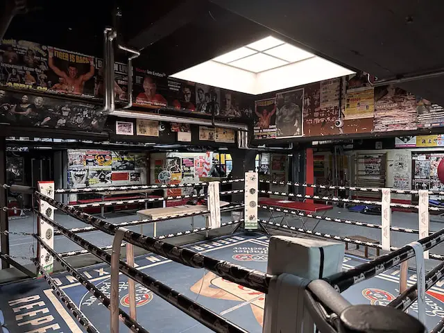 Is UFC An Easy Bet?