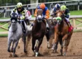 Most Common Terms Used in Horse Betting and Their Meanings