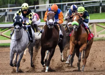 Most Common Terms Used in Horse Betting and Their Meanings