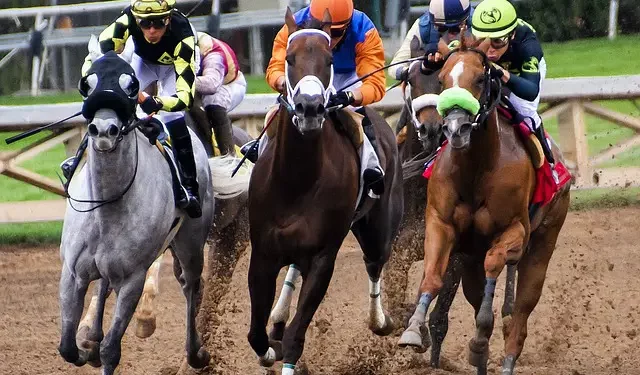 Most Common Terms Used in Horse Betting and Their Meanings