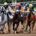 Most Common Terms Used in Horse Betting and Their Meanings