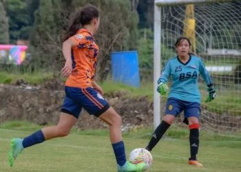 What Is A Straight Bet In Sports Betting?